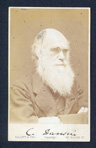 Charles Darwin carte de visite
